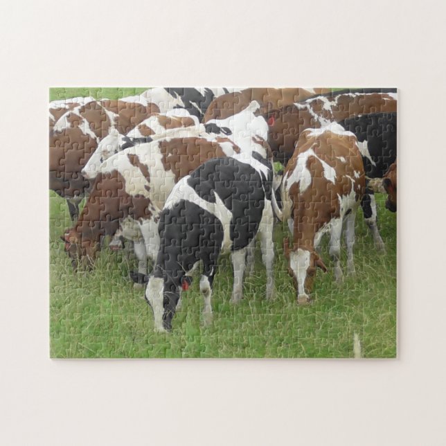 Puzzle Pack de vaches mangeant de l'herbe dans les champs (Horizontal)