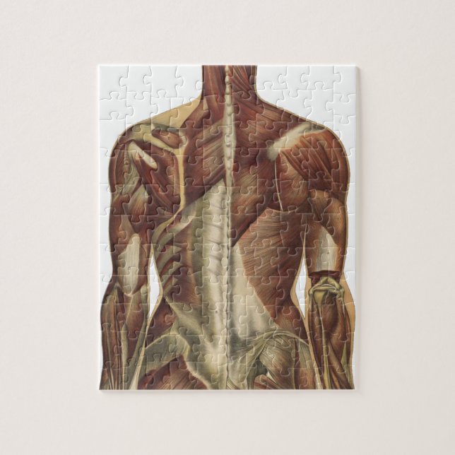 Puzzle Pages de livres d'anatomie vintage (Vertical)