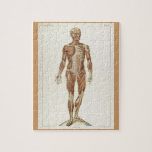 Puzzle Pages d'un livre d'anatomie vintage