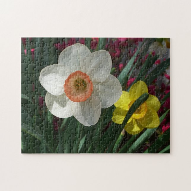 Puzzle Pair of Daffodils Pink and Yellow Spring Flowers (Horizontal)