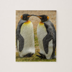 Puzzle Pair of King Penguins