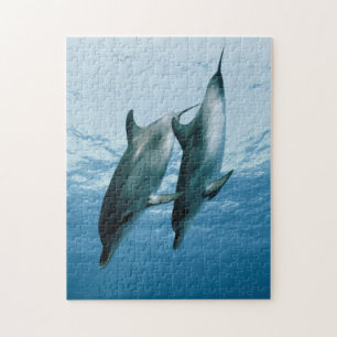 Puzzle Paire de dauphins