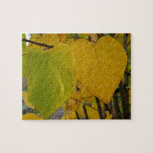 Puzzle Paire de Feuille Redbud Automne  photo d'automne