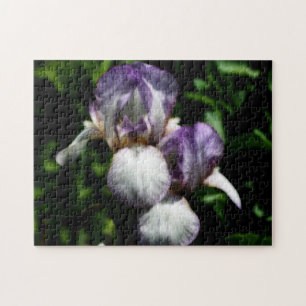 Puzzle Paire De Fleur Iris À Peau Violet Et Blanc