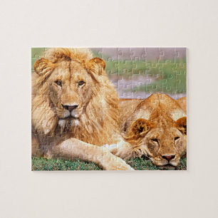 Puzzle Paire de lions africains, Panthera leo, Tanzanie