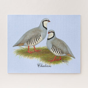 Puzzle Paire de perdrix de Chukar