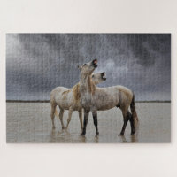 Paire de Stallions de Cheval de Camargue, Sud de l