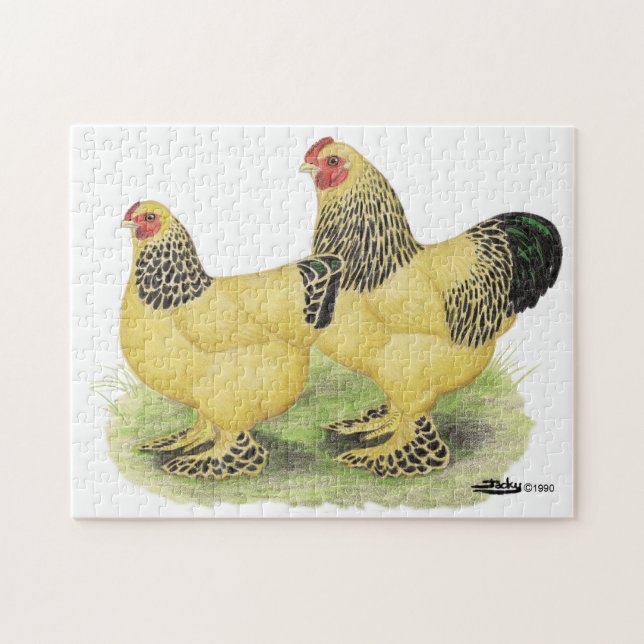 Puzzle Paires de couleur chamois de Brahma (Horizontal)