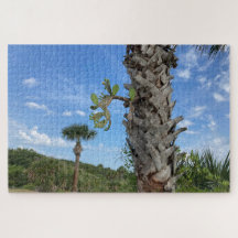 Palm & Prickle - Énigmes de la Braise Silencieuse