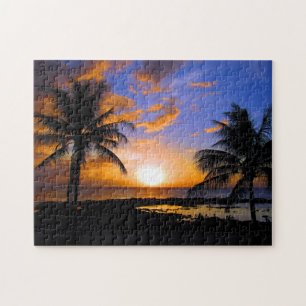 Puzzle palmes couchés de soleil