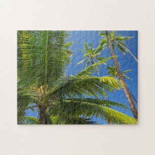 Puzzle Palmier à coco, Pu'uhonua o Honaunau 1