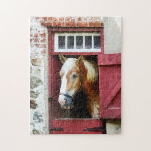 Puzzle Palomino by Barn Door