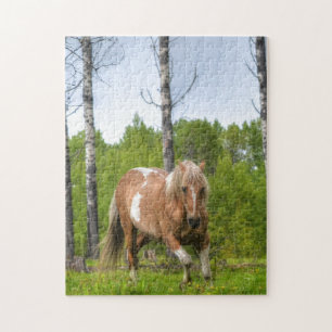 Puzzle Palomino Stallion Horse et arbres Equine Photo