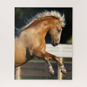 Puzzle Palomino Tennessee Walker Élevage de l'étalon