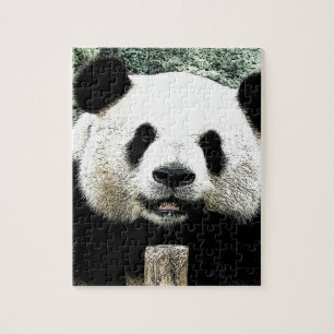 Puzzle Panda