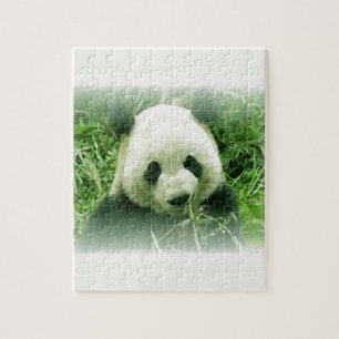 Puzzle Panda