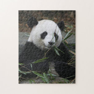 Puzzle Panda géant