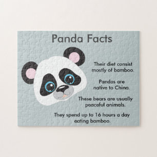 Puzzle Panda porte des faits