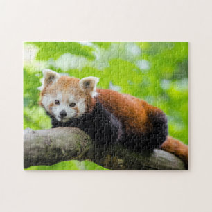 Puzzle Panda rouge