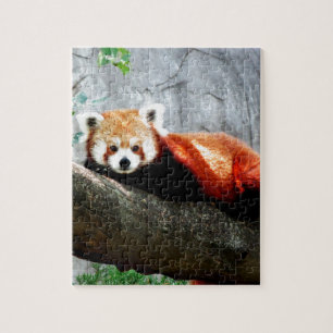 Puzzle panda rouge animal drôle mignon