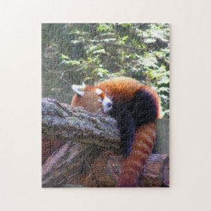 Puzzle Panda rouge dormant
