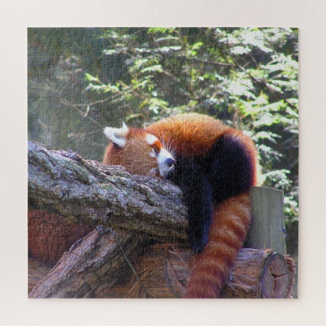 Puzzle Panda rouge dormant (Vertical)