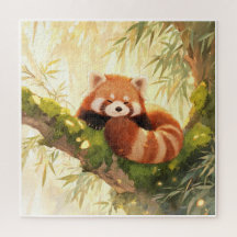 Panda roux