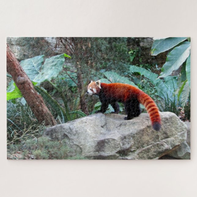 Puzzle panda roux (Horizontal)