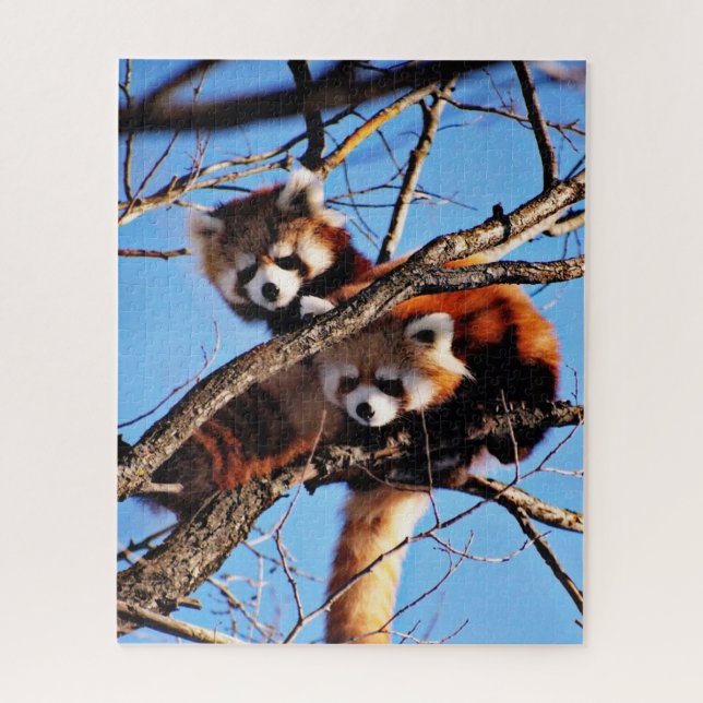 Puzzle pandas rouges (Vertical)