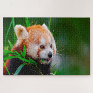 Puzzle Pandas roux.