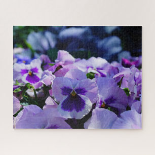 Puzzle Pansy Pizazz !