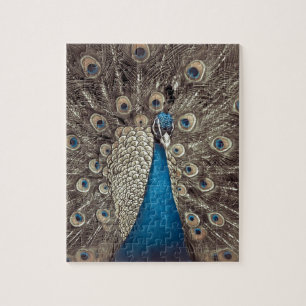 Puzzle Paon Bleu Antique