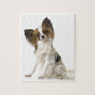 Puzzle Papillon