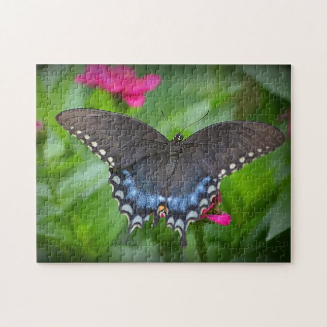 Puzzle papillon (Horizontal)