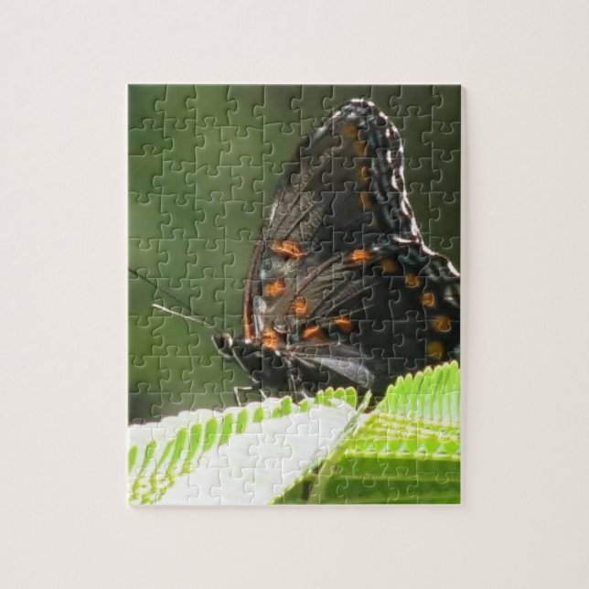 puzzle papillon (Vertical)