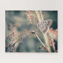 Puzzle Papillon 520 pièces