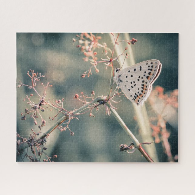 Puzzle Papillon 520 pièces (Horizontal)