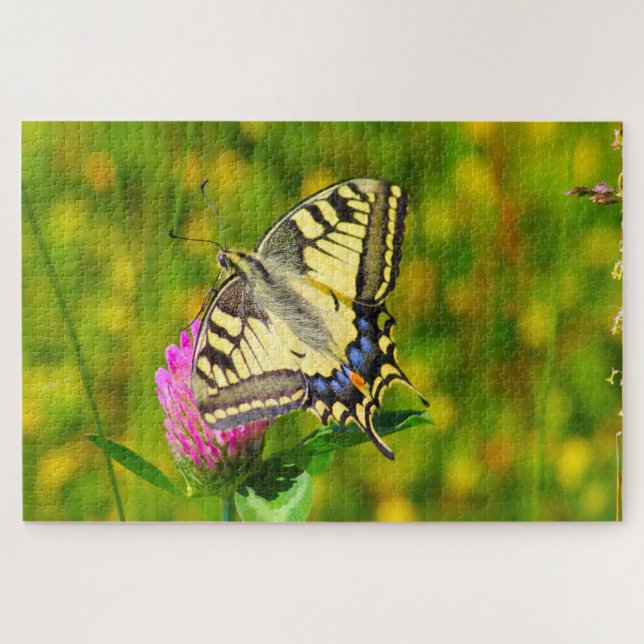 Puzzle Papillon à queue d'aronde. (Horizontal)