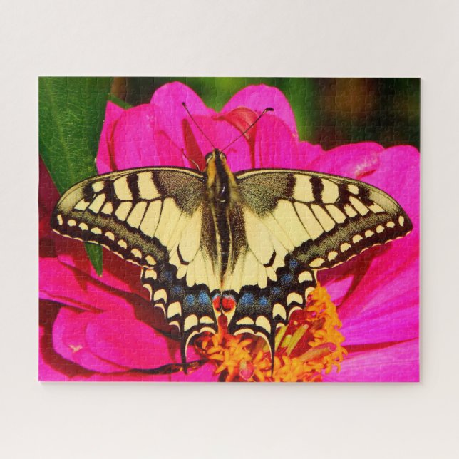 Puzzle Papillon à queue jaune sur Fleur rose (Horizontal)