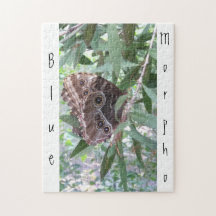 Papillon bleu bleu commun