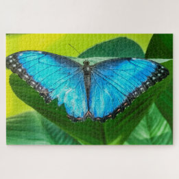 Puzzle Papillon bleu Morpho Floral Nature Art