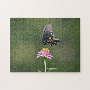 Puzzle Papillon bleu orange noir sur la nature rose des f