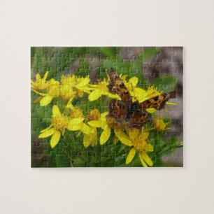 Puzzle Papillon Comma dans le parc national des Glaciers