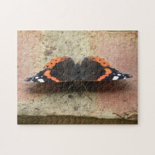 Puzzle papillon de l'amiral rouge