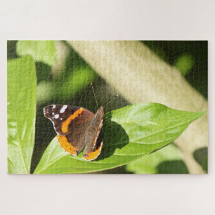 Puzzle Papillon de l'amiral rouge