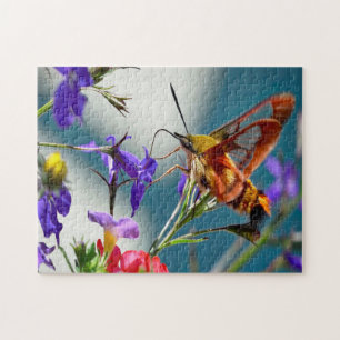 Puzzle Papillon de papillon de nuit Sphinx.