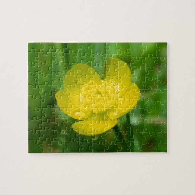 Puzzle papillon des Appalaches (Horizontal)