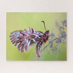 Puzzle Papillon festonné.