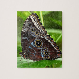 Puzzle Papillon foncé assis sur des Feuilles dans la natu