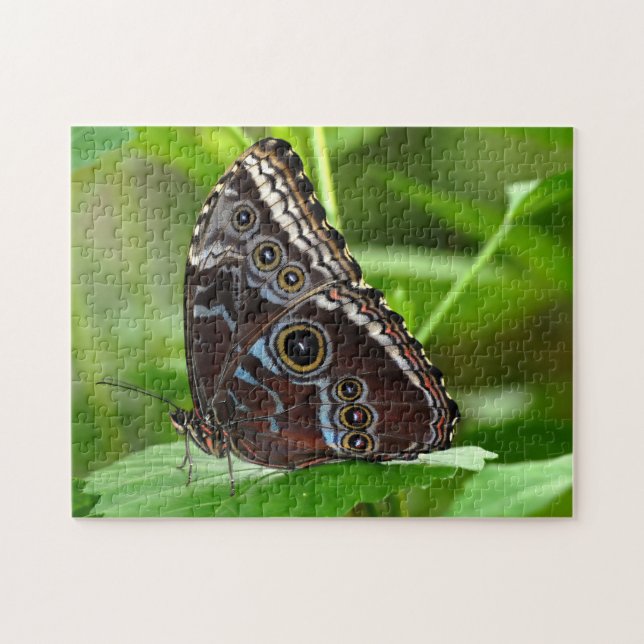 Puzzle Papillon foncé assis sur la feuille (Horizontal)